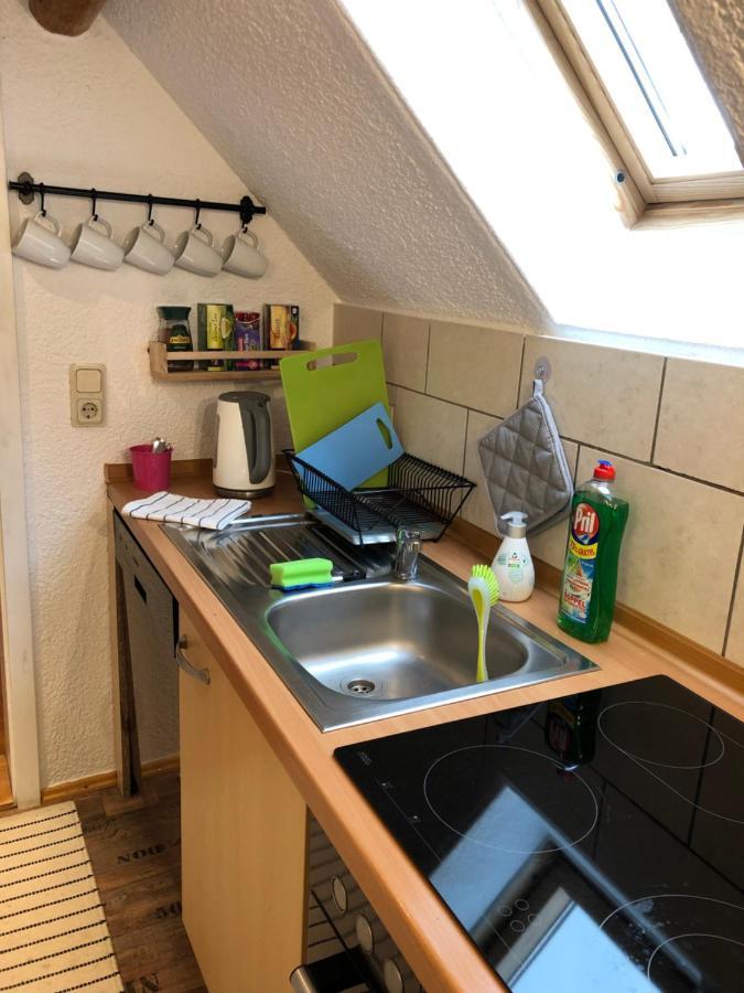 Saidenbachhaus Villa Grosshartmannsdorf Exteriör bild